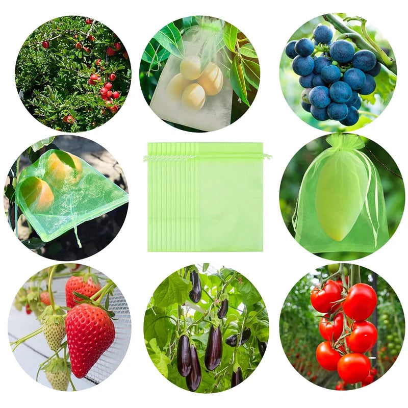 Fruit Protection Bags Barrier Mesh for Strawberry and Grape