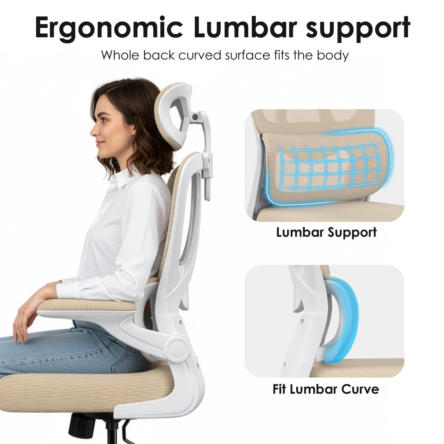 Farini Ergonomic Office Chair With Lumbar Support Headrest