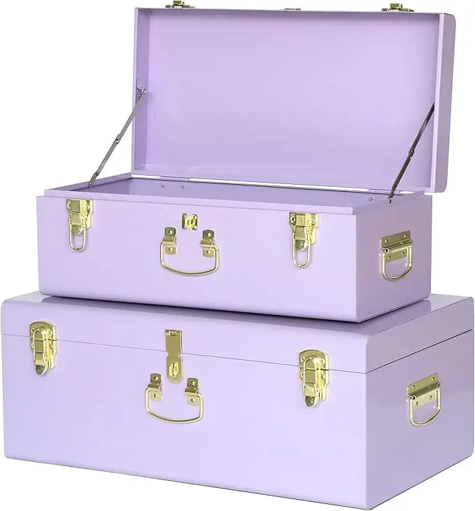 XMSJ Decorative Metal Box Storage Trunks Set Of 2 Dorm Chests With Handle
