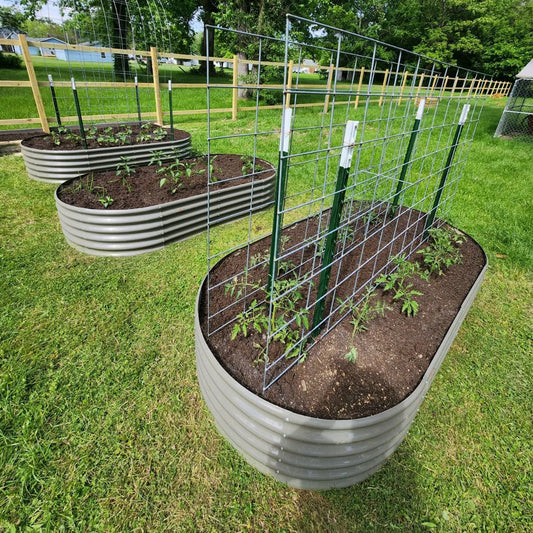 Tramull Galvanized Steel Oval Raised Garden Bed For Vegetables