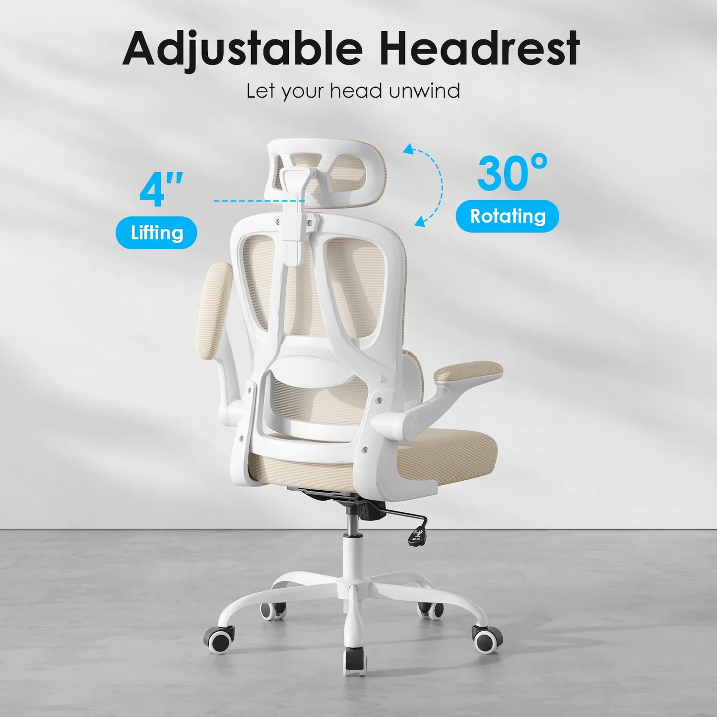 Farini Ergonomic Office Chair With Lumbar Support Headrest