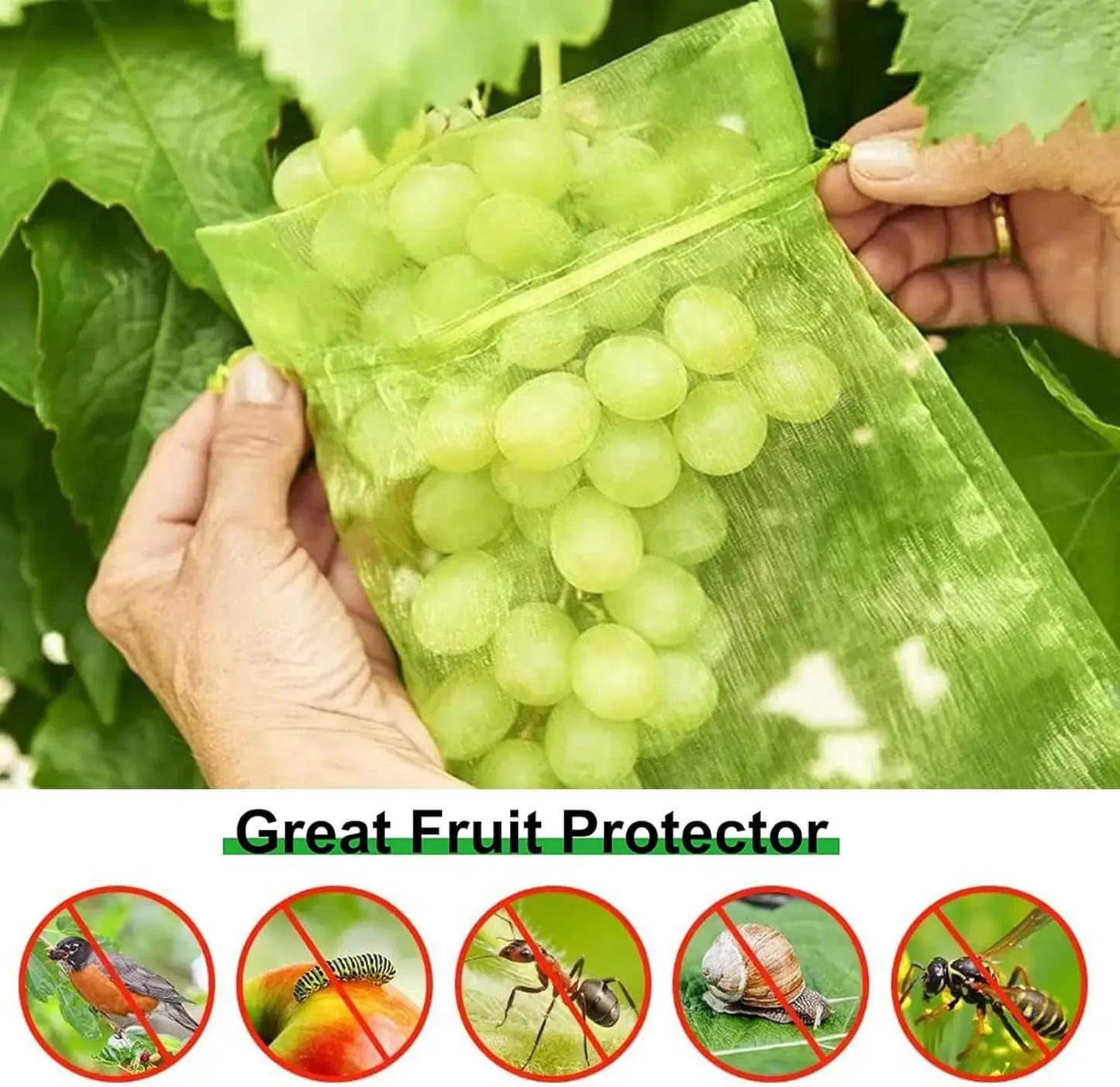 Fruit Protection Bags Barrier Mesh for Strawberry and Grape