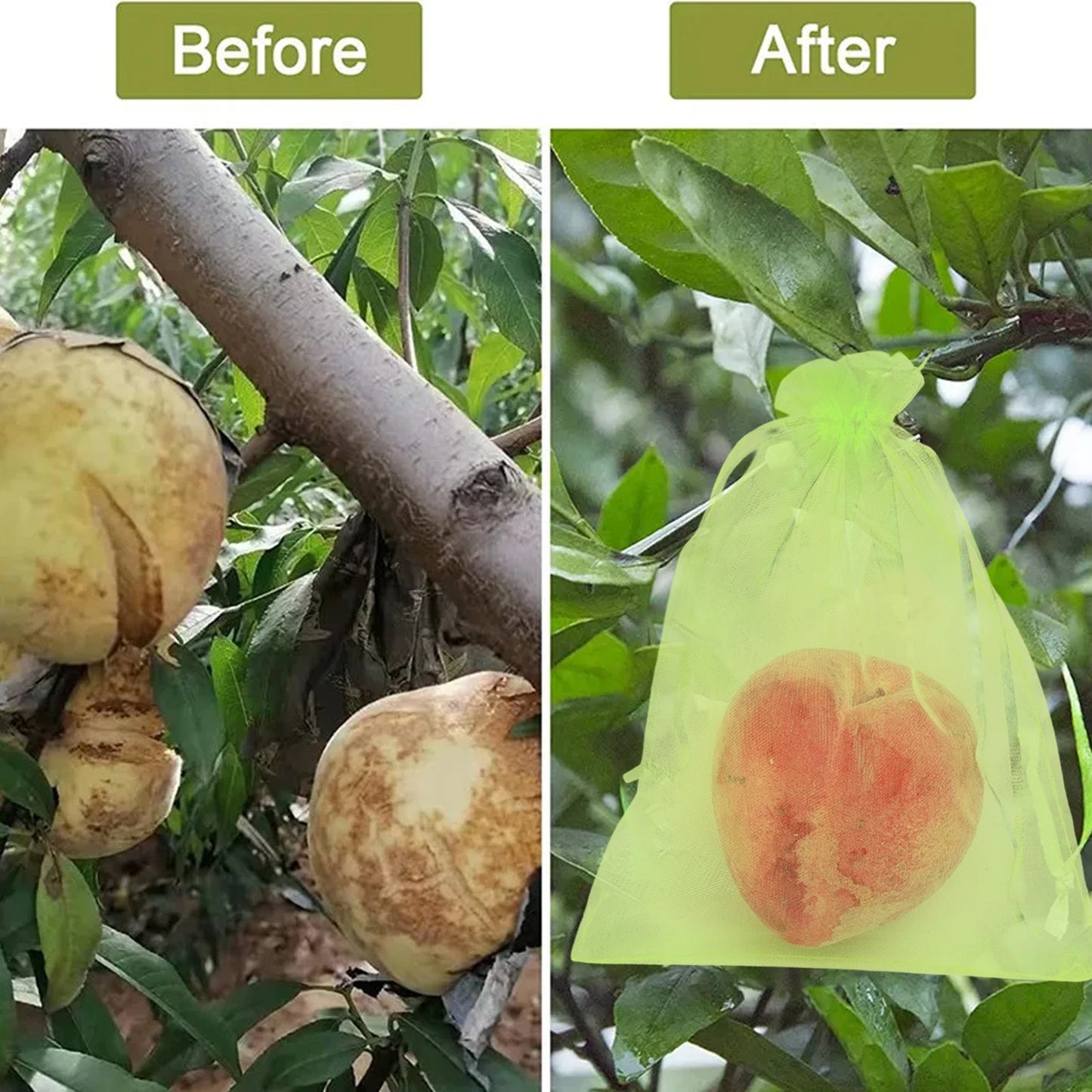 Fruit Protection Bags Barrier Mesh for Strawberry and Grape