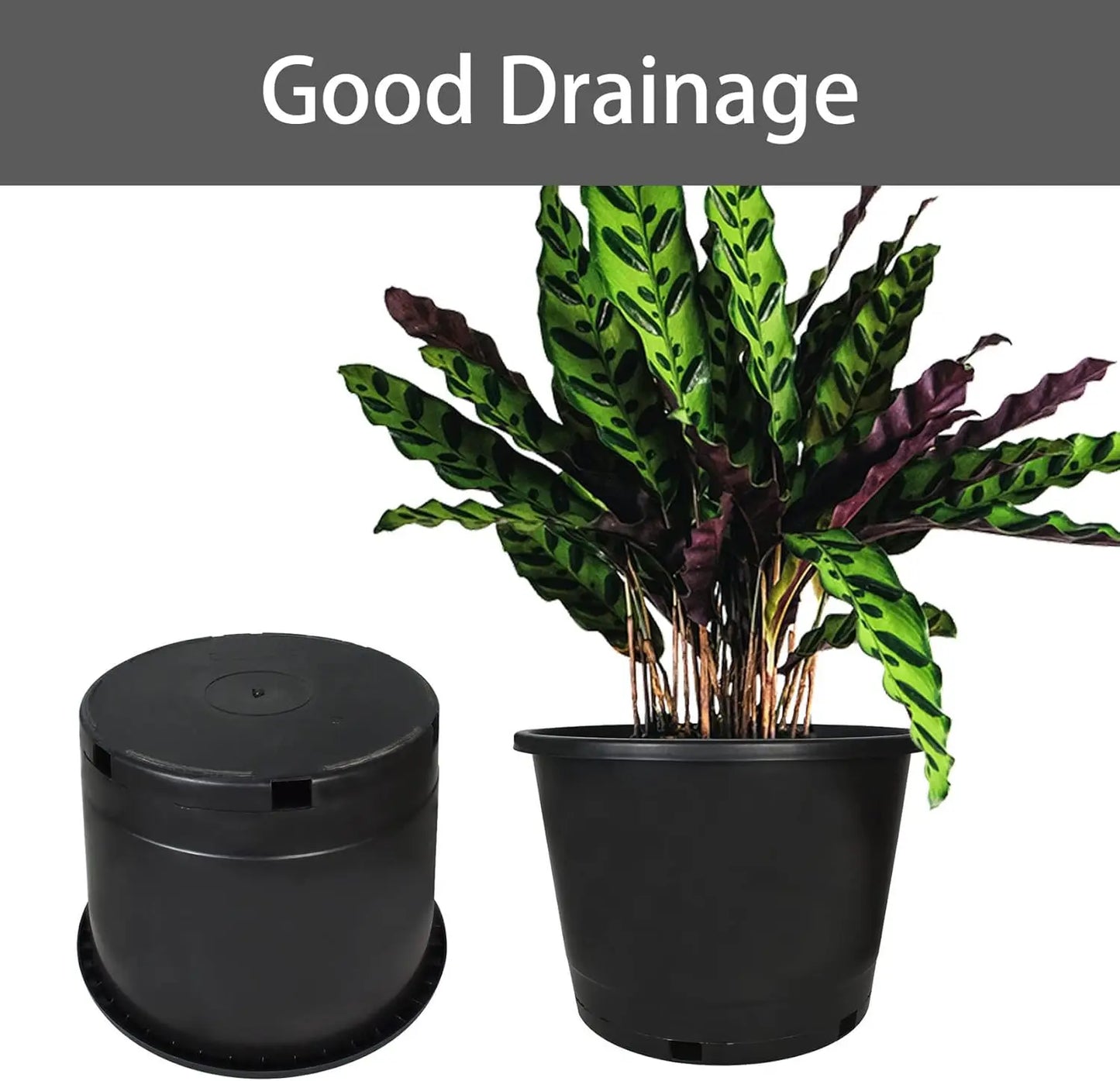 Plastic Plant Pots Five Pack For Indoor Outdoor Gardening