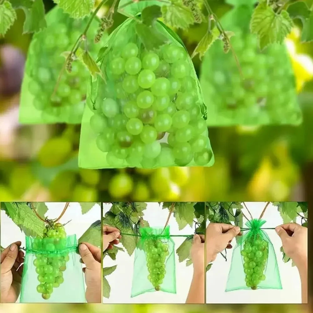 Fruit Protection Bags Barrier Mesh for Strawberry and Grape