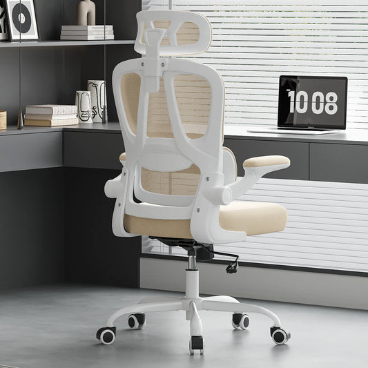 Farini Ergonomic Office Chair With Lumbar Support Headrest