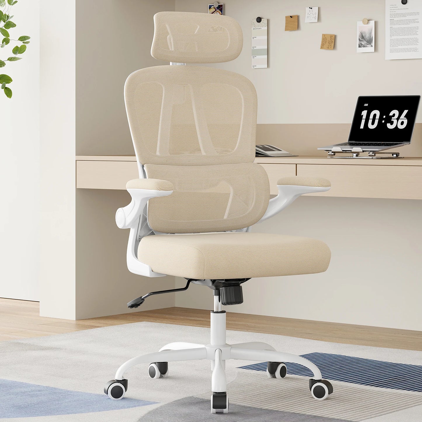 Farini Ergonomic Office Chair With Lumbar Support Headrest