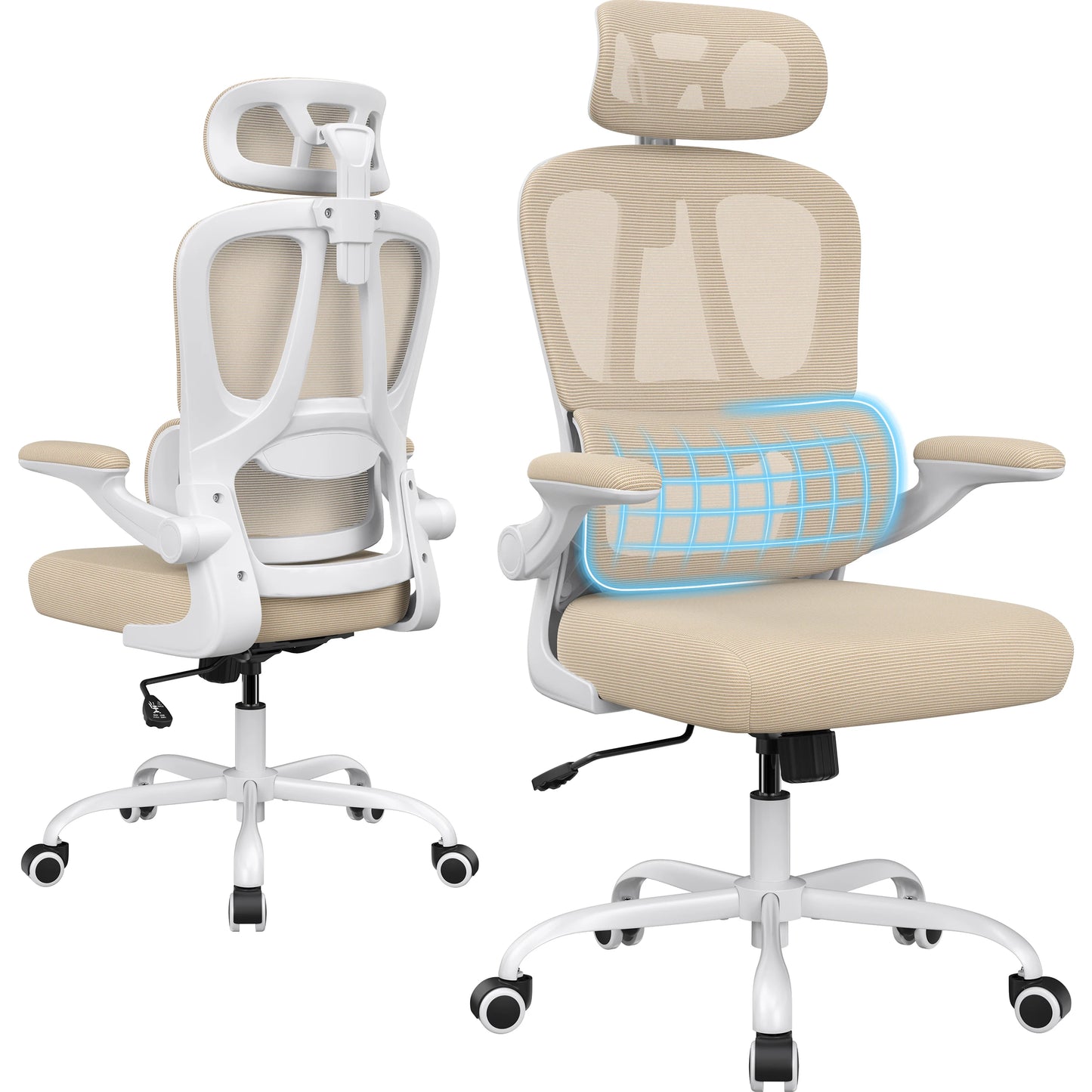 Farini Ergonomic Office Chair With Lumbar Support Headrest