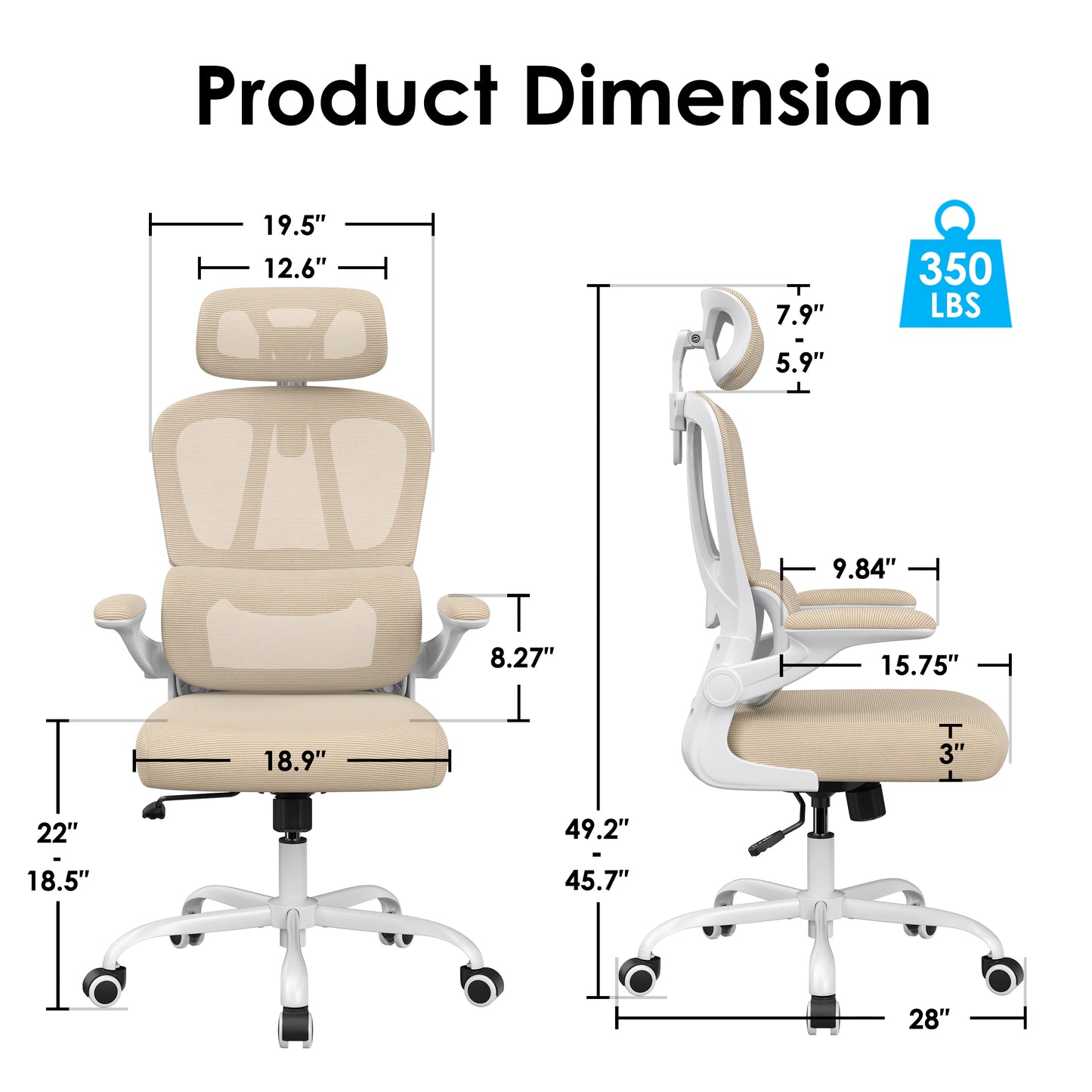 Farini Ergonomic Office Chair With Lumbar Support Headrest